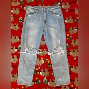 American Eagle Mom Jeans